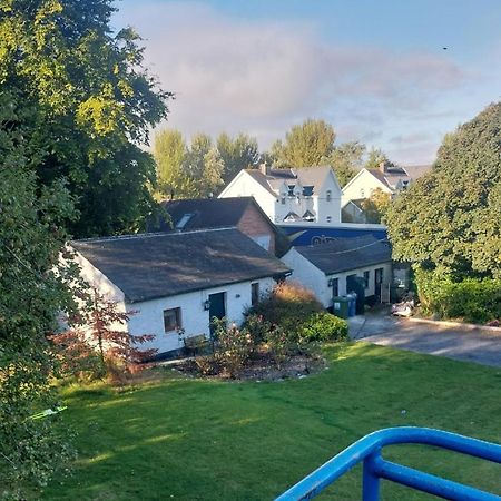 Cosy 2 Bed Cottage Next To Fota Wildlife Park Cork Bagian luar foto